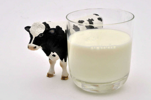 Top 7 Hãng sữa tốt được nhiều người lựa chọn nhất