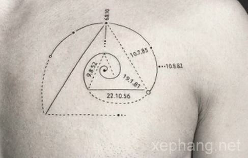 40 Amazing Fibonacci Tattoo Designs | TattooAdore | Fibonacci tattoo,  Spiral tattoos, Fibonacci spiral tattoo